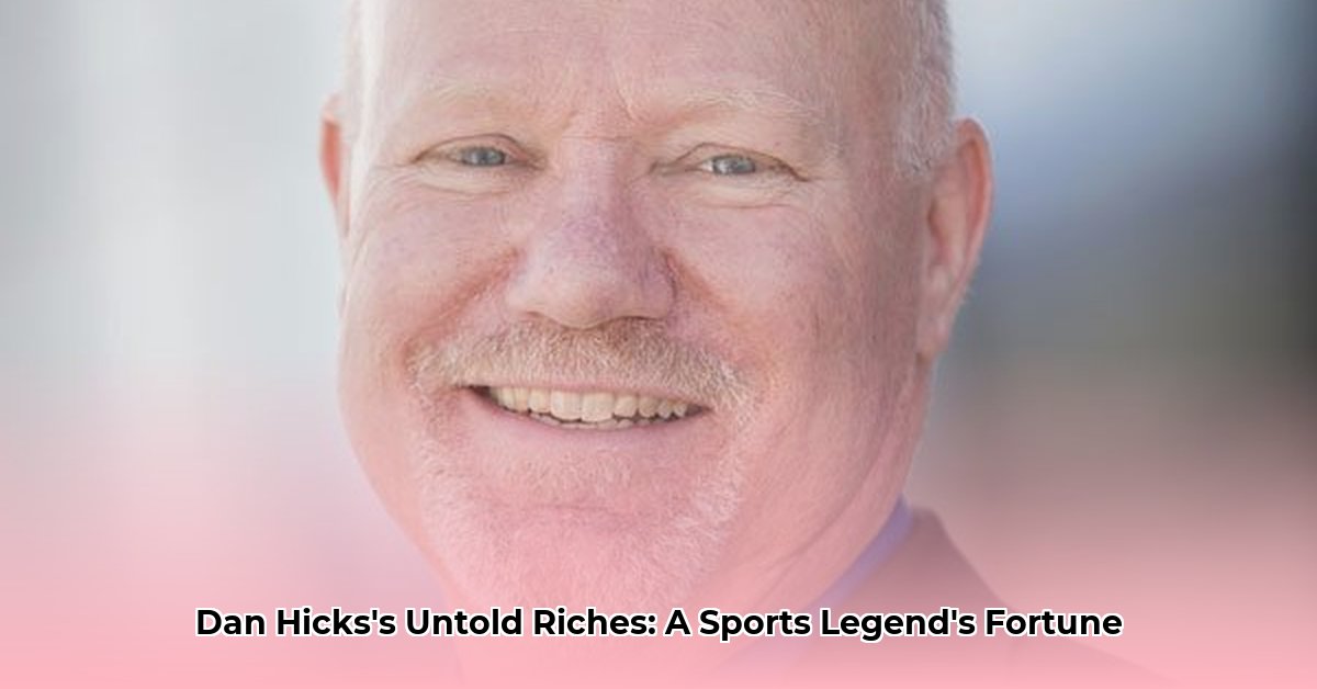 dan-hicks-net-worth